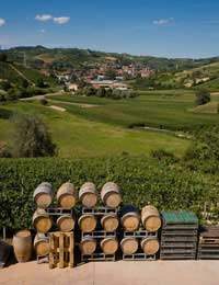 Honeymoon Foodie Food Holiday Wine